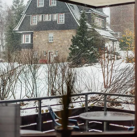 Apartment Ferienwohnung Buche Braunlage